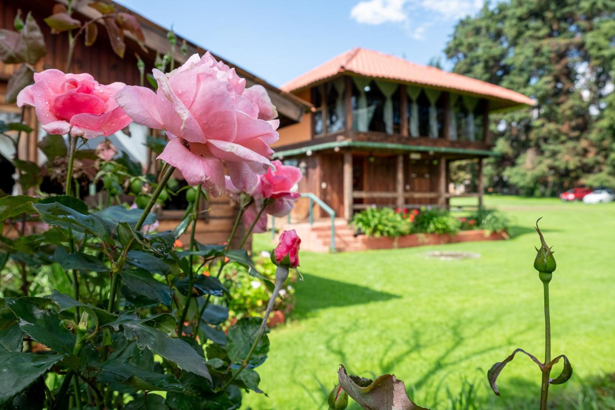 Zirahuen Forest And Resort Esterno foto